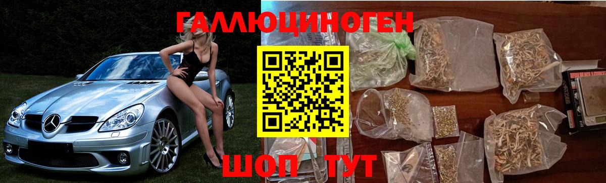 Галлюциногенные грибы ЛСД  Псилоцибиновые грибы Magic Shrooms  Вход с VPN  Щёкино 